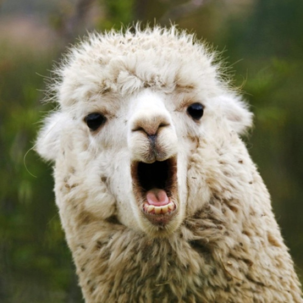 5 for $25 (ANY $10 items or less)